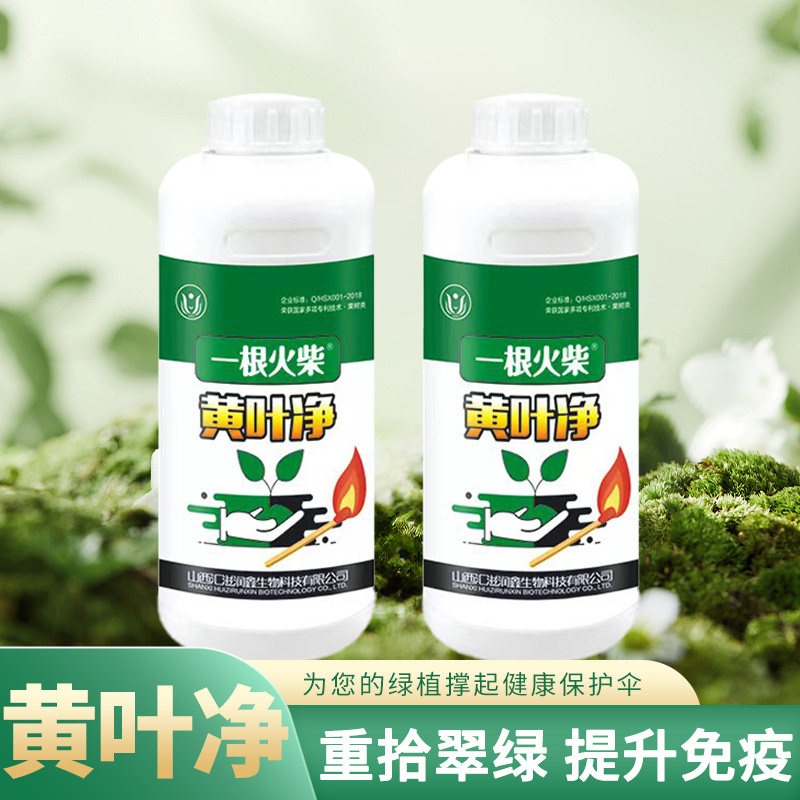 根火柴营养液植物长黑斑防黄叶