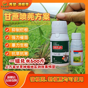 苒望满根芽甘蔗喷蔸方案爆根爆芽壮苗生根含小分子氨基酸水溶肥