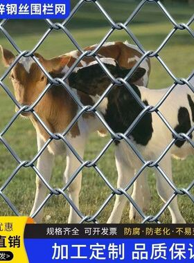  勾花网养殖围栏网户外体育场防护网镀锌防锈隔离网果园围网定制