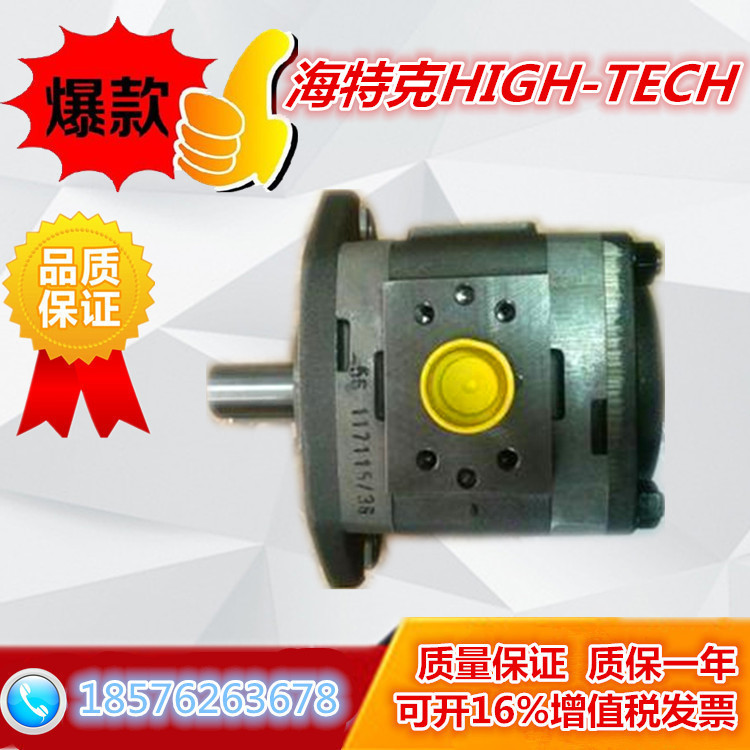 新款CP1-250R齿轮泵sunny