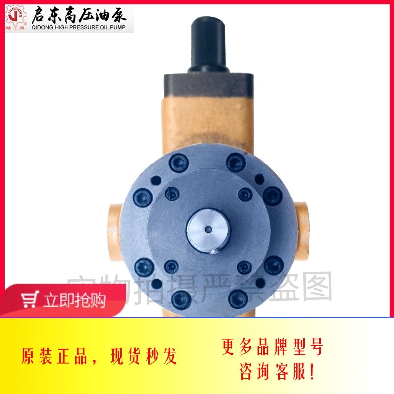 新款启东高压油泵牌10/25