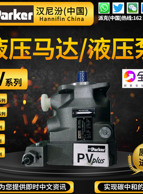 新款美国派克PV063柱塞泵丹尼逊T6T7T67叶片泵P1PD液压泵PGPP现货