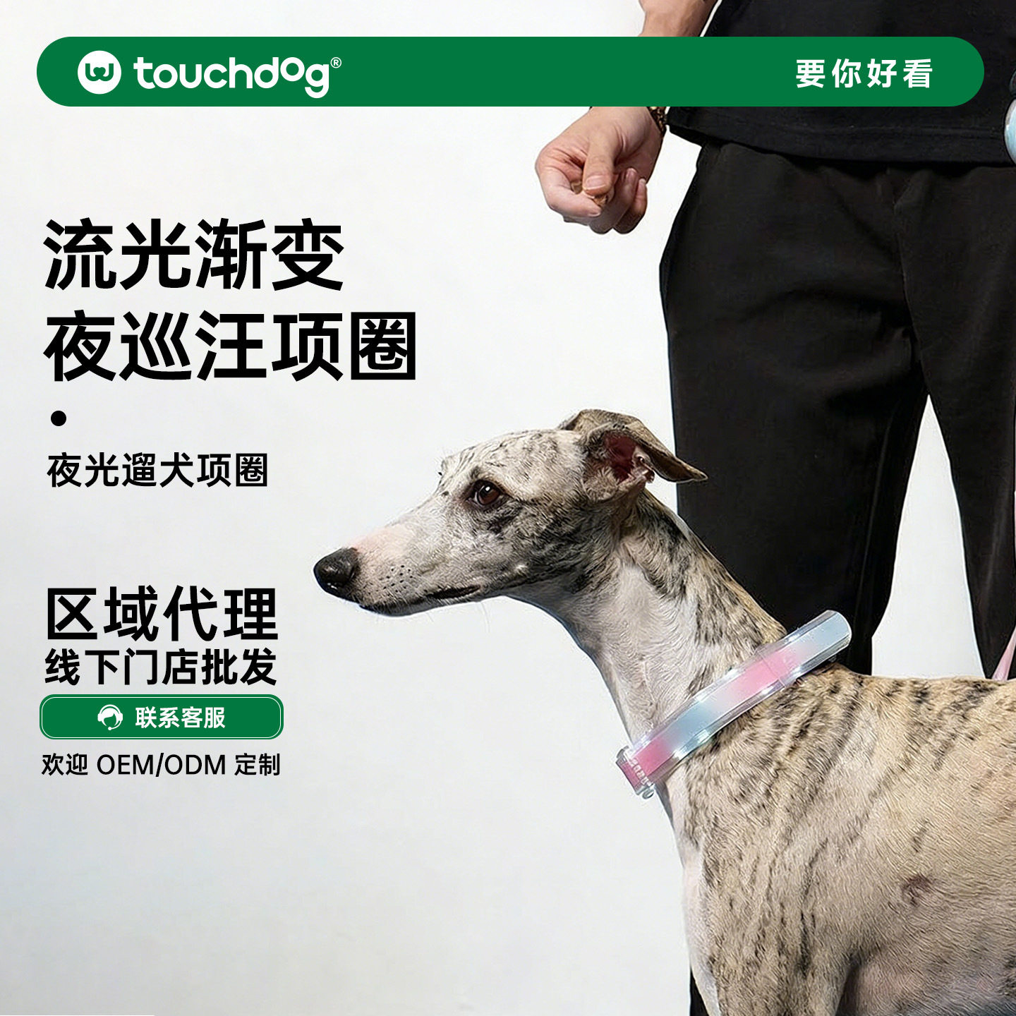 Touchdog它它狗狗发光项圈牵引绳大中小型犬脖圈防走丢外出遛狗绳