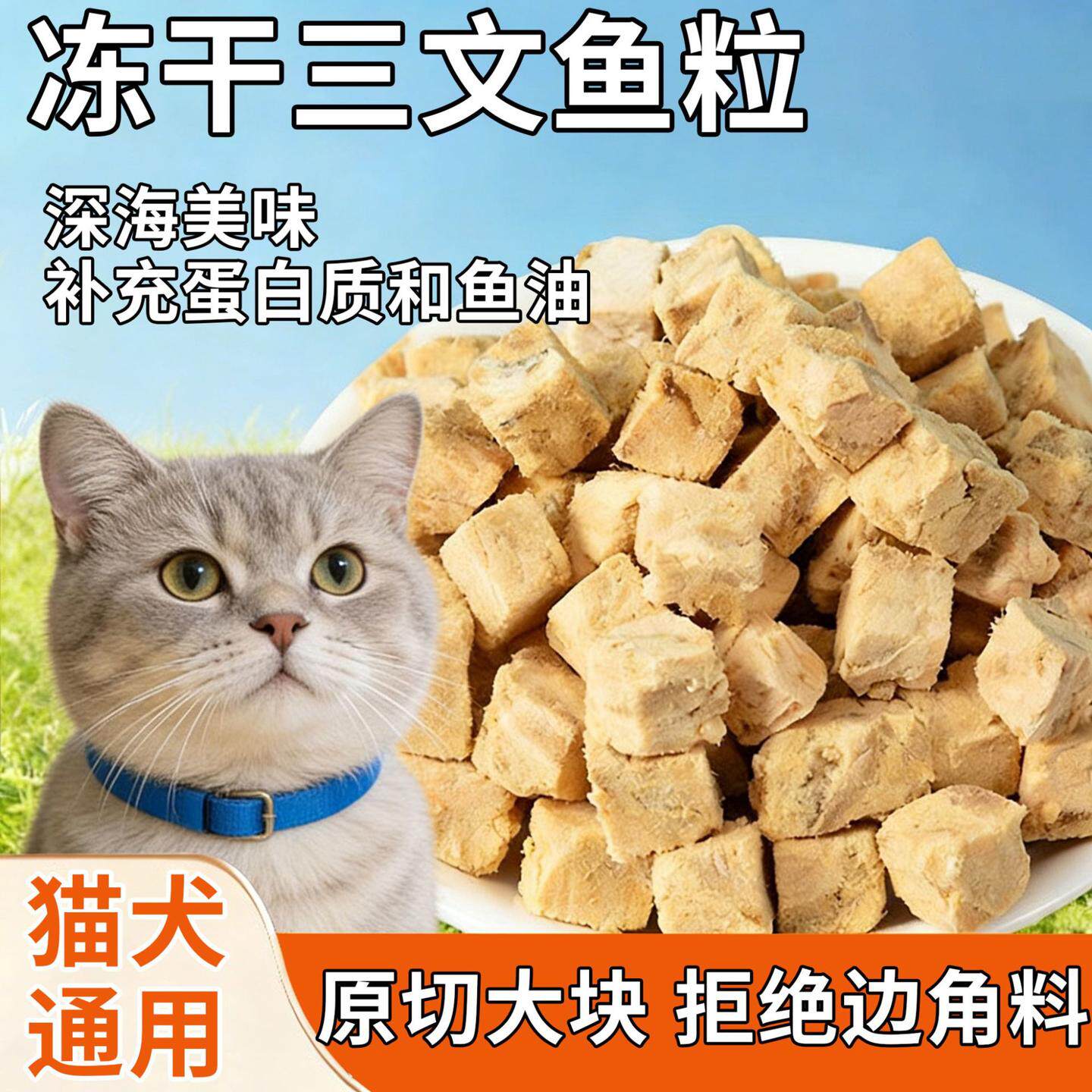 猫咪零食冻干三文鱼宠物零食增肥发腮磨牙营养钙原切鱼肉块拌猫粮