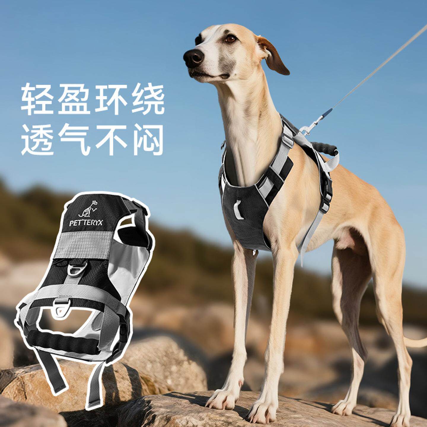 狗狗牵引绳背心式中大型犬防爆冲双环扣金毛脖圈链遛狗绳可调节绳