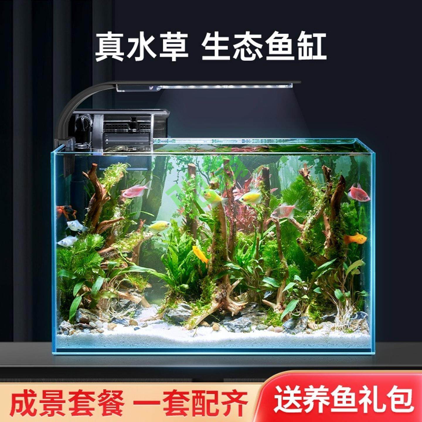 yut鱼缸水族箱超白玻璃客厅小型迷你桌面免换水家用小金鱼缸生态