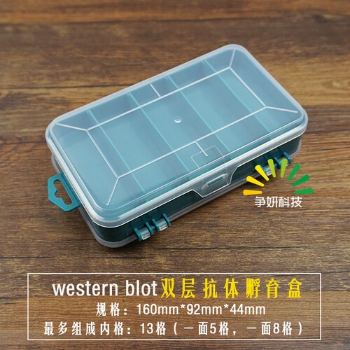 1Western Blot抗体孵育盒 双层 WB孵育盒 透光 避光免疫组化湿盒