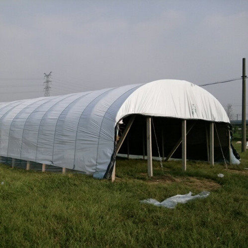 thickening Wu Dimo Imported Big films ageing heat preservation po transparent Plastic sheeting Film breed Black and white filmin the Flower delivery/Flowers simulation/Plants gardening , Gardening supplies , Plastic film  category - from Buy2taobao.com to provide professional Taobao agent buy service