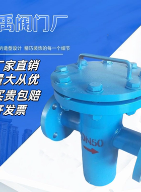 篮式过滤器直通管道提篮式除污器焊接蓝式过滤器DN506580100150