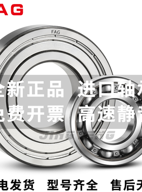 进口FAG轴承6007 6008 6009 6010 6011 6012 6013-2ZR 2RSR C3 H