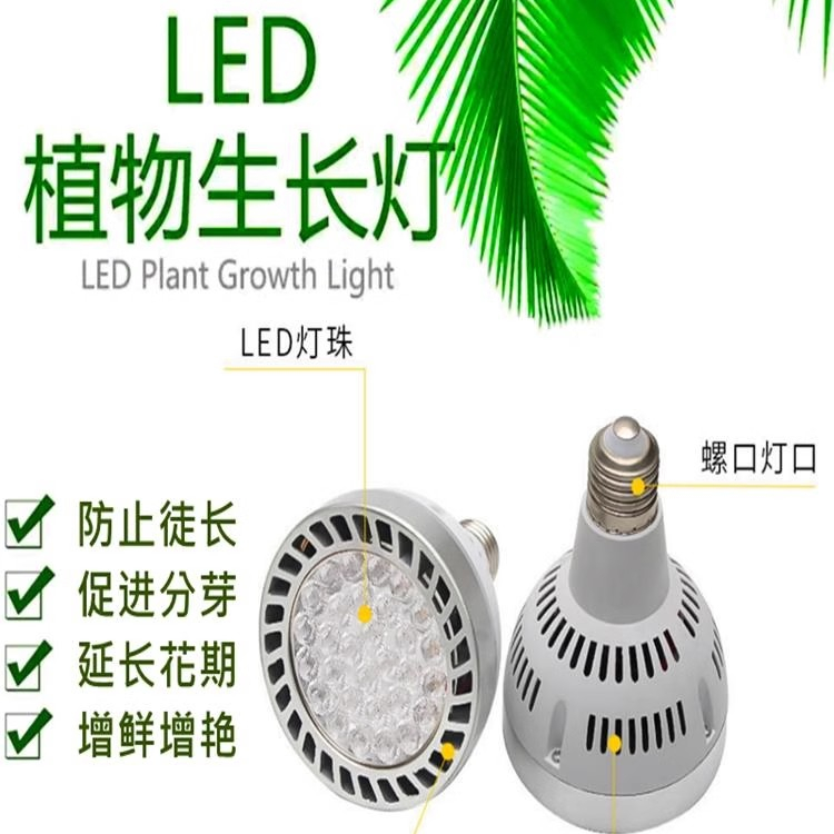 全光谱植物补光灯 led家用室内花卉绿植雨淋缸仿太阳光照生长灯泡