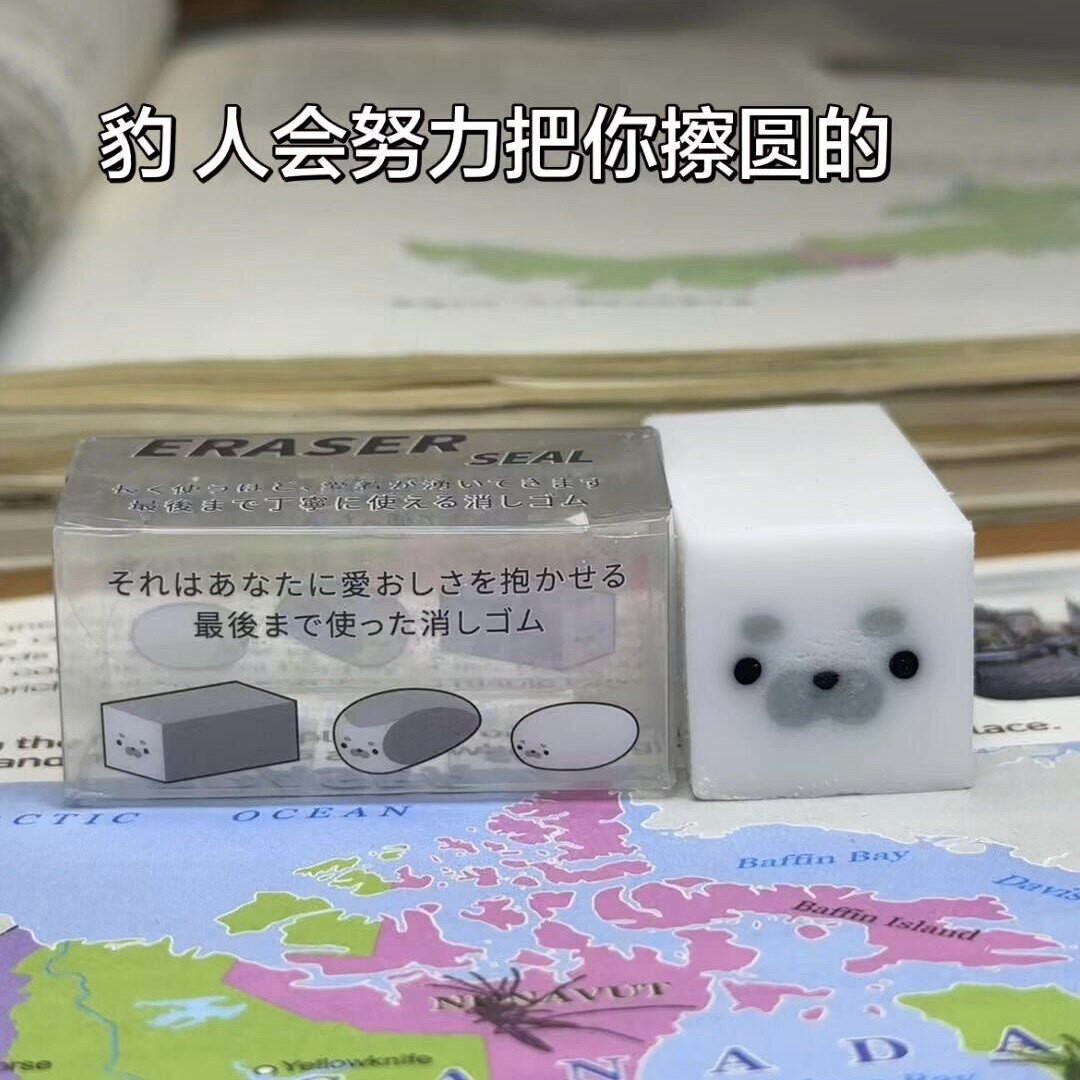日系新款可爱小海豹橡皮图片