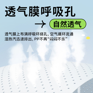 秋季 超柔超薄透气L男女宝宝专用婴儿尿不湿纸尿裤 爽然天鹅拉拉裤