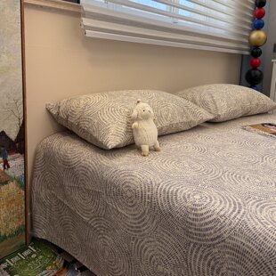 新款加厚纯棉磨毛床单单件100全棉秋冬宿舍被单人床笠枕套三件套3