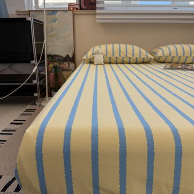 磨毛床单单件纯棉100全棉加厚单人宿舍双人家用四季通用被单秋冬3