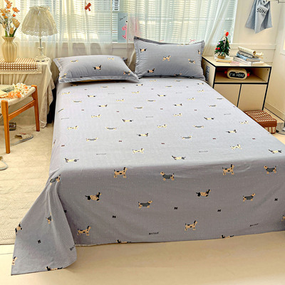 A类纯棉卡通恐龙磨毛床单单件100全棉冬季加厚单双人1.5m2025新款