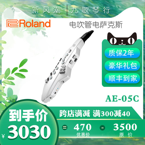 罗兰电吹管民乐吹管智能AE05C