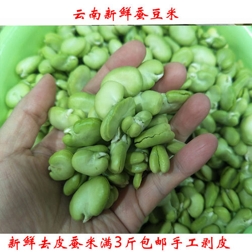 蚕豆米云南特产新鲜蔬菜嫩蚕豆米胡豆罗汉豆农户露天种250克包邮