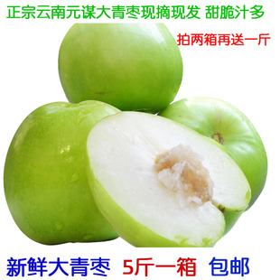 青枣正宗云南元谋大青枣甜脆枣绿皮枣蜜枣农户露天种植新鲜采摘发