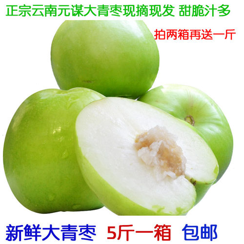 青枣正宗云南元谋大青枣甜脆枣绿皮枣蜜枣农户露天种植新鲜采摘发