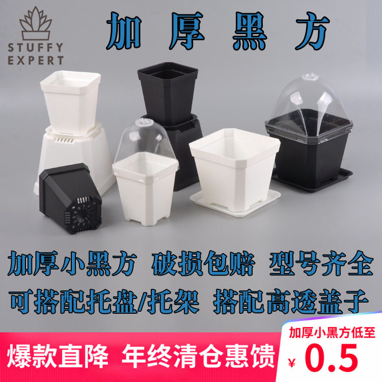 小黑方加厚塑料磨砂带盖花盆加高大方扦插传播种培育苗叶插闷养盆,鲜花速递/花卉仿真/绿植园艺,花盆,淘宝优惠券,粉丝福利购,淘宝优惠卷