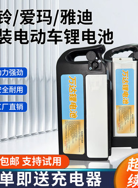 48v锂电池爱玛台铃电动车12AH15AH20AH手提大容量可拆卸通用电瓶
