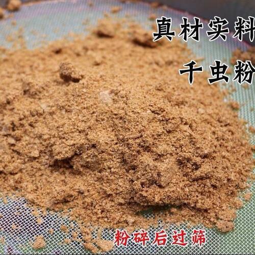 营养千虫粉多虫粉鸟食