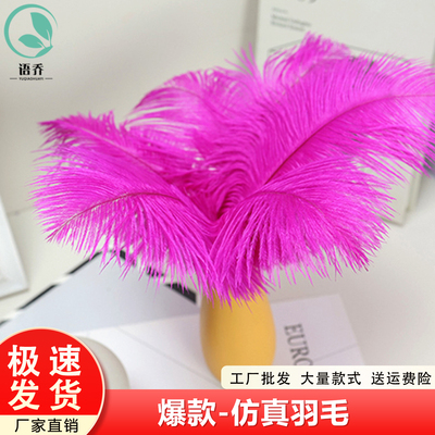 鸵鸟羽毛白色长鸵鸟毛婚庆
