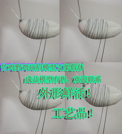 竹鸡画眉模型 支架 DIY假媒假体 手工摆件
