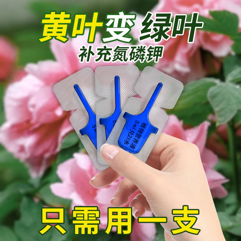 绿叶催花 促进生长