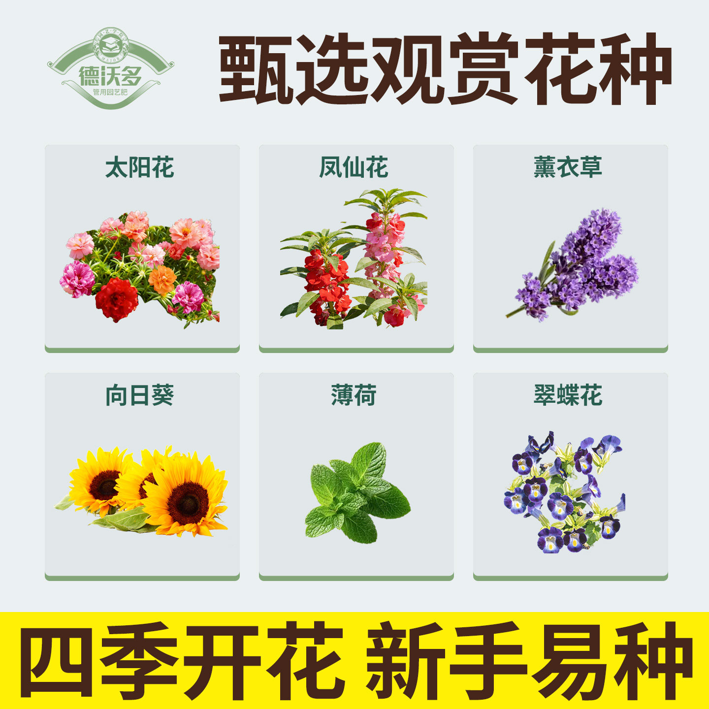 花卉种子大全四季容易播种盆栽植物薰衣草向日葵薄荷太阳花种籽子