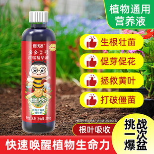 植物营养液通用型家用养花卉绿萝水培绿植多肉盆栽发财树肥料室内