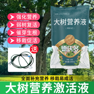 树木吊针营养液移栽浓缩营养液