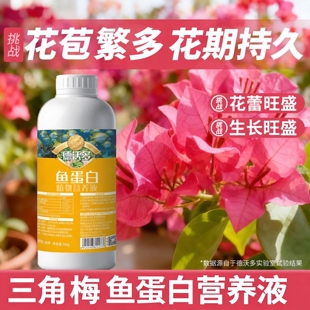 三角梅专用肥鱼蛋白水溶肥促开花爆花氨基酸花肥料原浆花卉营养液