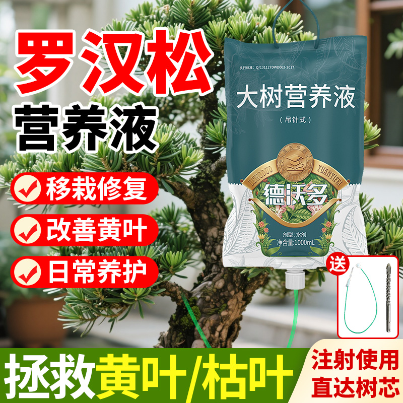 【枯叶转绿】罗汉松专用营养液