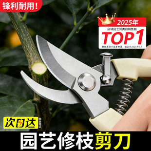 园艺剪刀修枝剪果树枝剪刀花艺专用剪刀粗枝剪园林花卉绿植摘果子