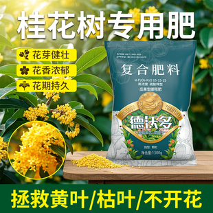 桂花树肥料专用肥复合肥家用花肥盆栽植物金桂银桂氮磷钾三元 化肥