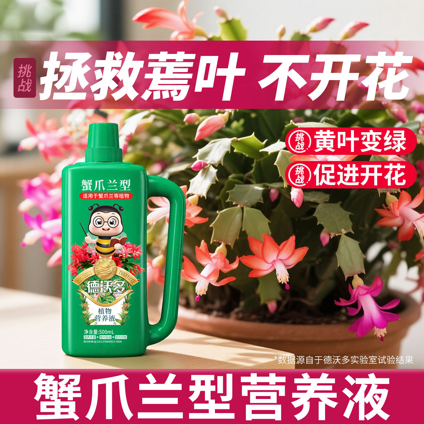 德沃多蟹爪兰专用营养液肥料盆栽花卉植物有机肥促开花水溶肥家用,鲜花速递/花卉仿真/绿植园艺,家庭园艺肥料,淘宝优惠券,粉丝福利购,淘宝优惠卷