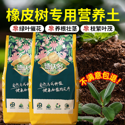 橡皮树专用土黑金刚花叶营养土大叶盆栽种植土壤植物养花有机花土