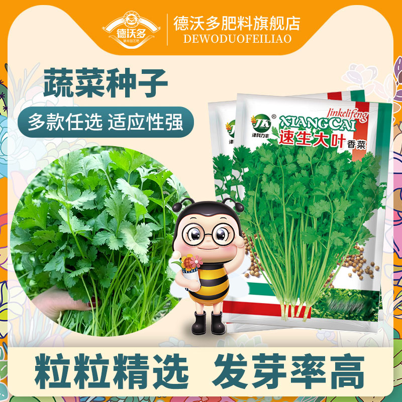 蔬菜种子四季阳台盆栽植物