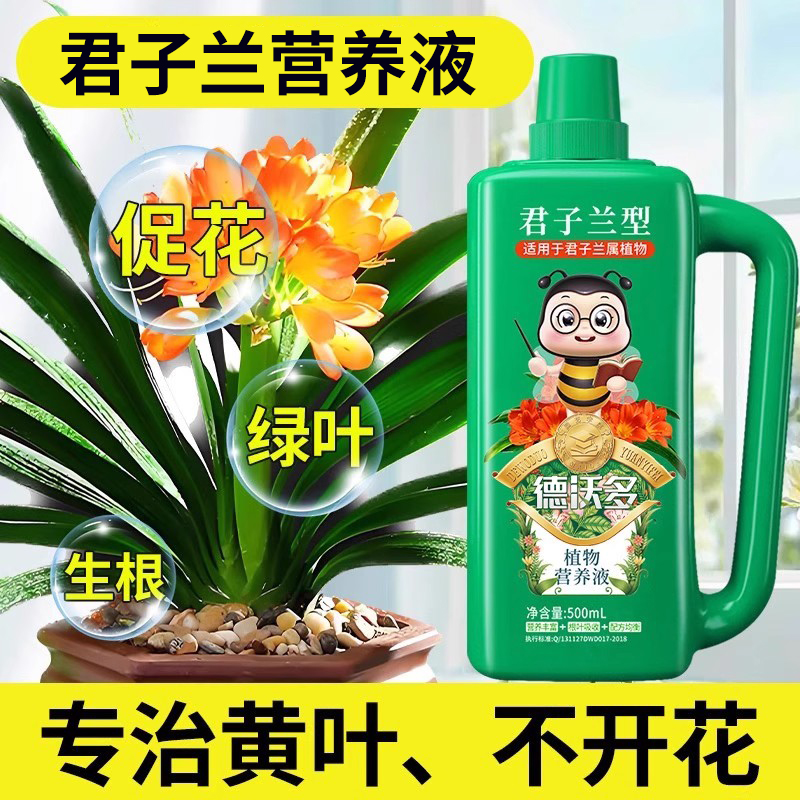 君子兰专用肥料兰花营养液促开花