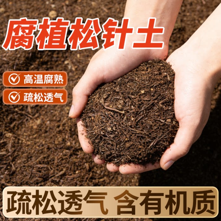 【腐植松针土】兰花君子兰专用土图片