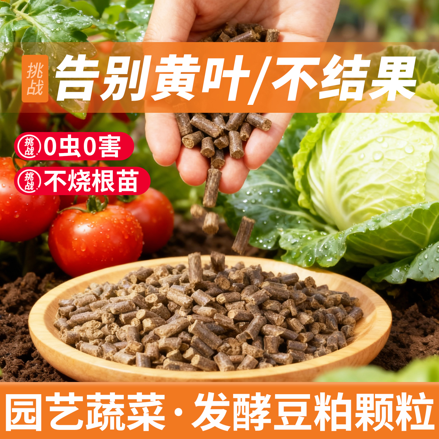 【阳台种菜】发酵豆粕颗粒助结果