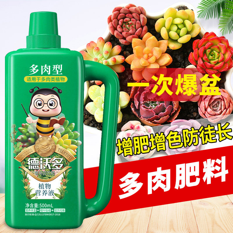 Nutrient solution Dedicated Fertilizer Fleshy Botany concentrate household Potted plant Water soluble General type Enriched take rootin the Flower delivery/Flowers simulation/Plants gardening , Gardening supplies , 家庭园艺肥料 category - from Buy2taobao.com to provide professional Taobao agent buy service