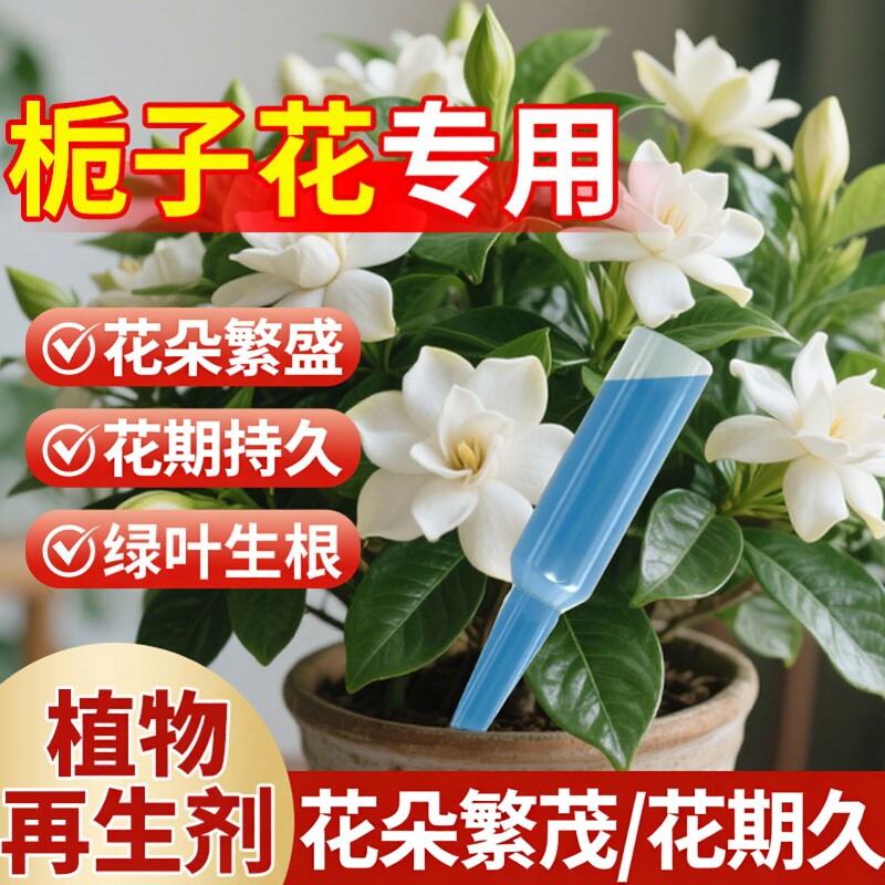 栀子花专用营养液植物再生剂开花图片