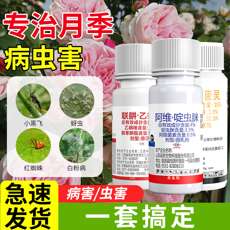 月季黑斑病专用药病虫害常用药