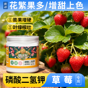 磷酸二氢钾肥料草莓专用叶面肥正品 农用果树通用水溶肥促开花结果