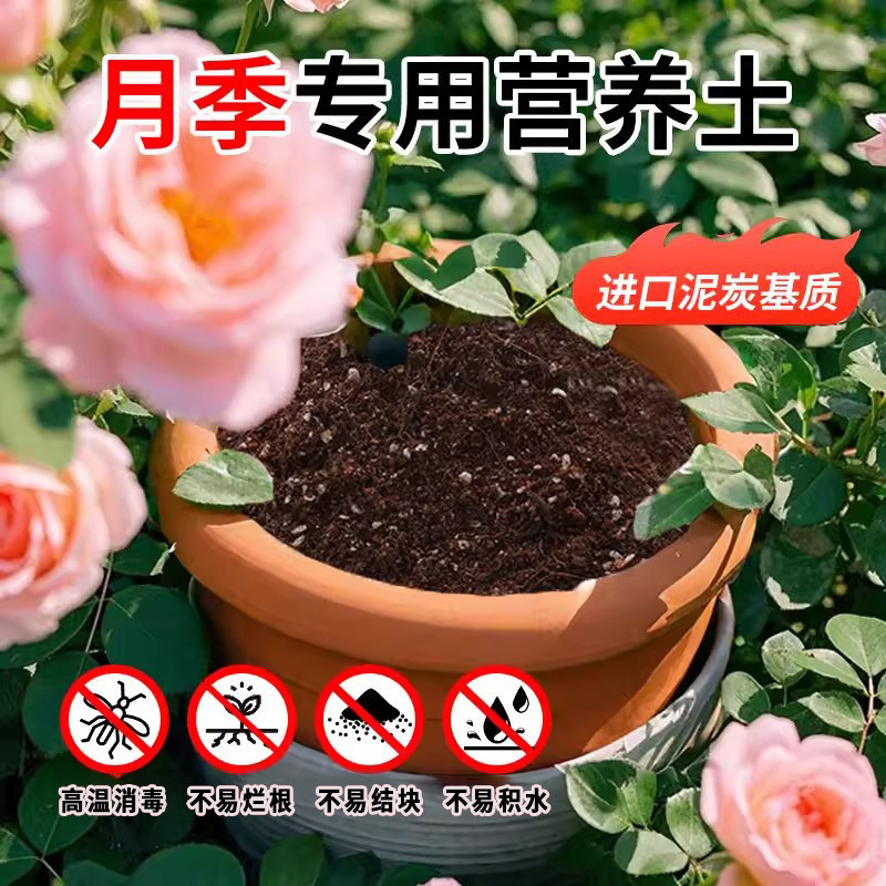 德沃多玫瑰月季花专用土养花生根图片