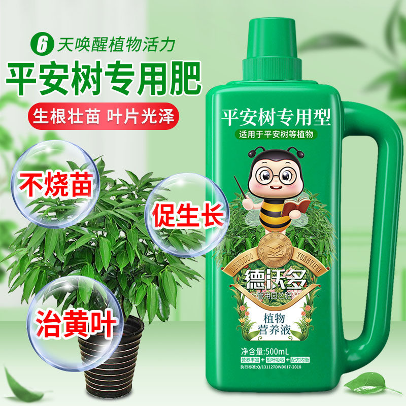 速发德沃多平安树专用肥料营养钱家用室内液花盆栽幸福树金养树通