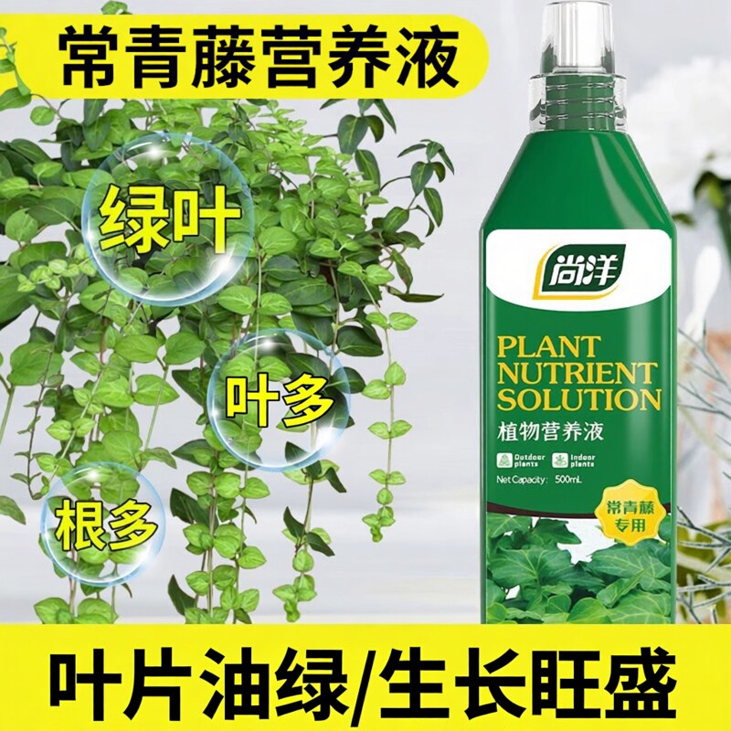 常青藤肥料专用肥营养液室内盆栽绿叶生根掉叶液体花肥通用水溶肥